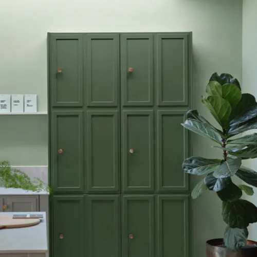 Placards peints en Beverly de Farrow & Ball, vert forêt, à côté d'un figuier lyre