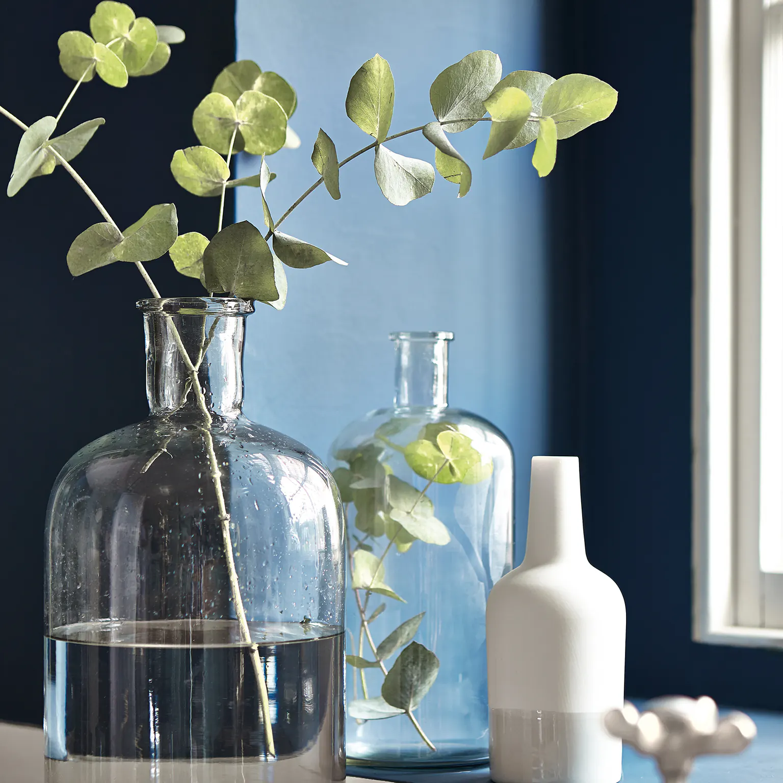 Bouteilles en verre, vase blanc et branches d'eucalyptus devant un mur bleu profond