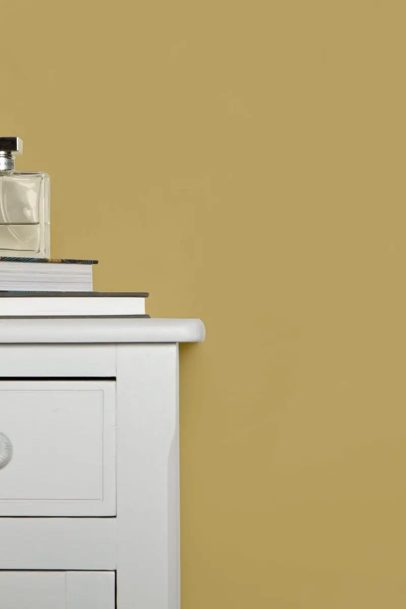Ambiance peinte en Cats Paw de Farrow & Ball