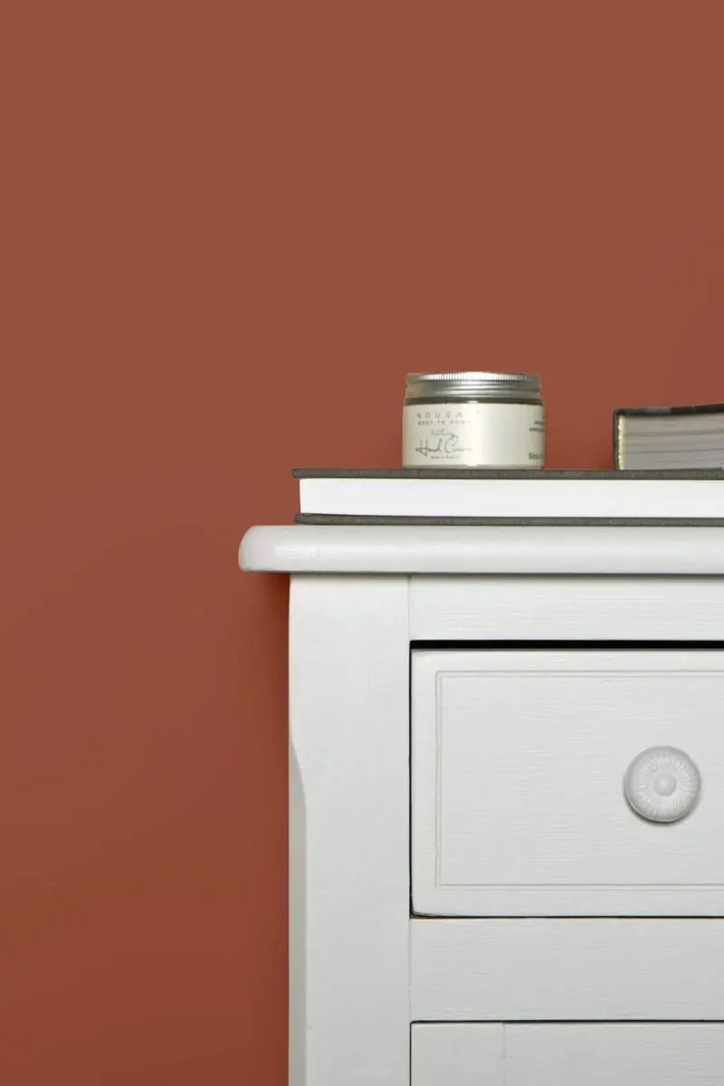 Ambiance peinte en Terre d' Egypte de Farrow & Ball