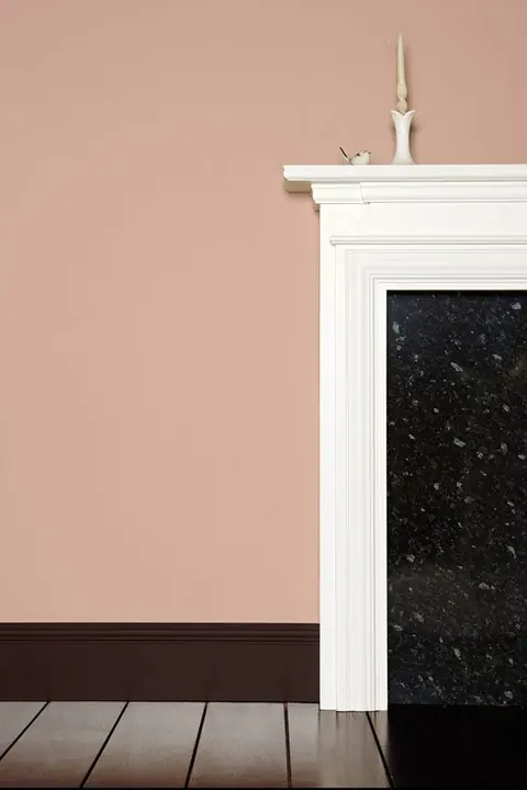 Ambiance peinte en Dead Salmon de Farrow & Ball