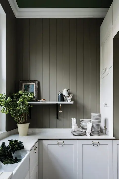 Ambiance peinte en Treron de Farrow & Ball