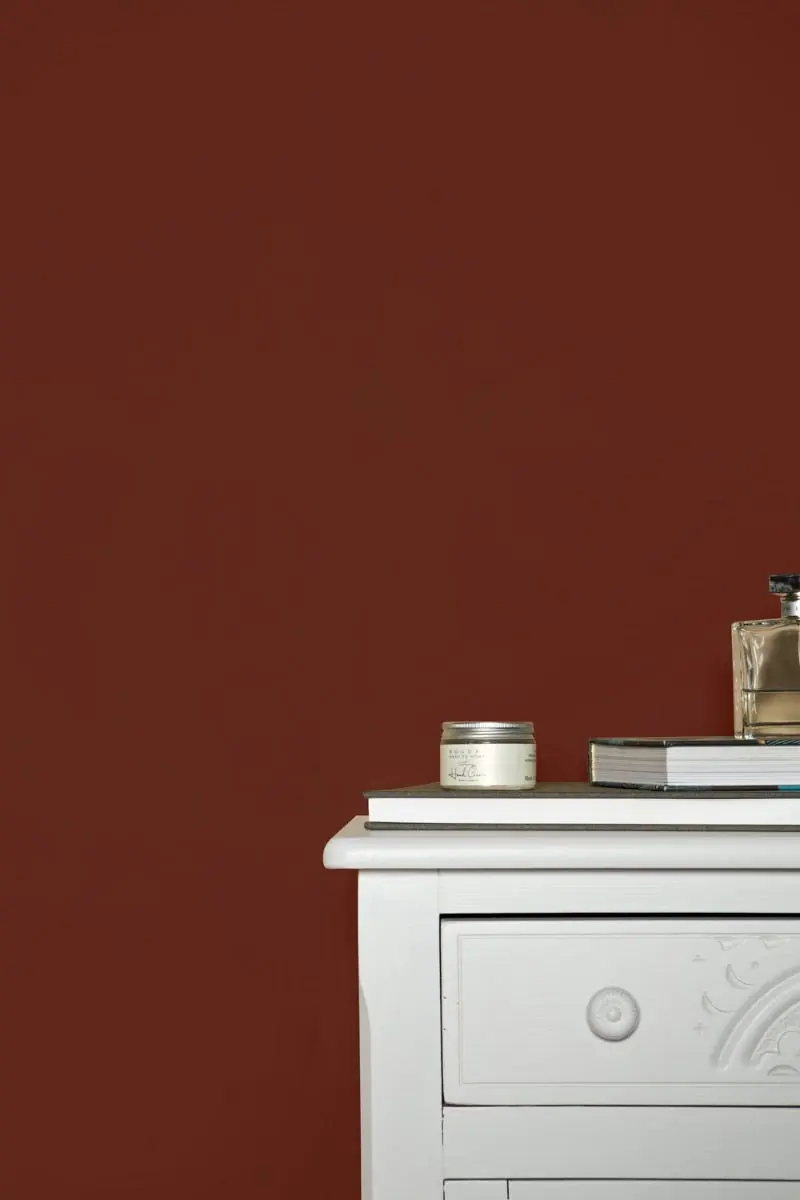 Ambiance peinte en Eating Room Red de Farrow & Ball