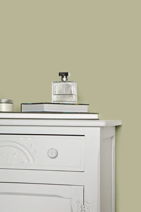 Ambiance peinte en Ball Green de Farrow & Ball