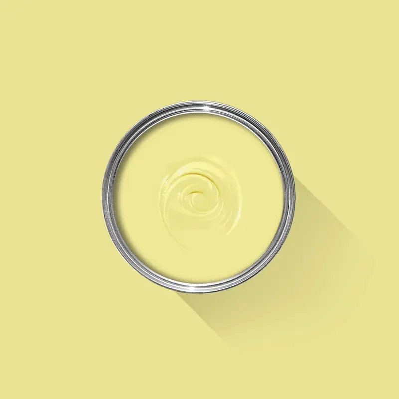 Ambiance peinte en Butterweed de Farrow & Ball