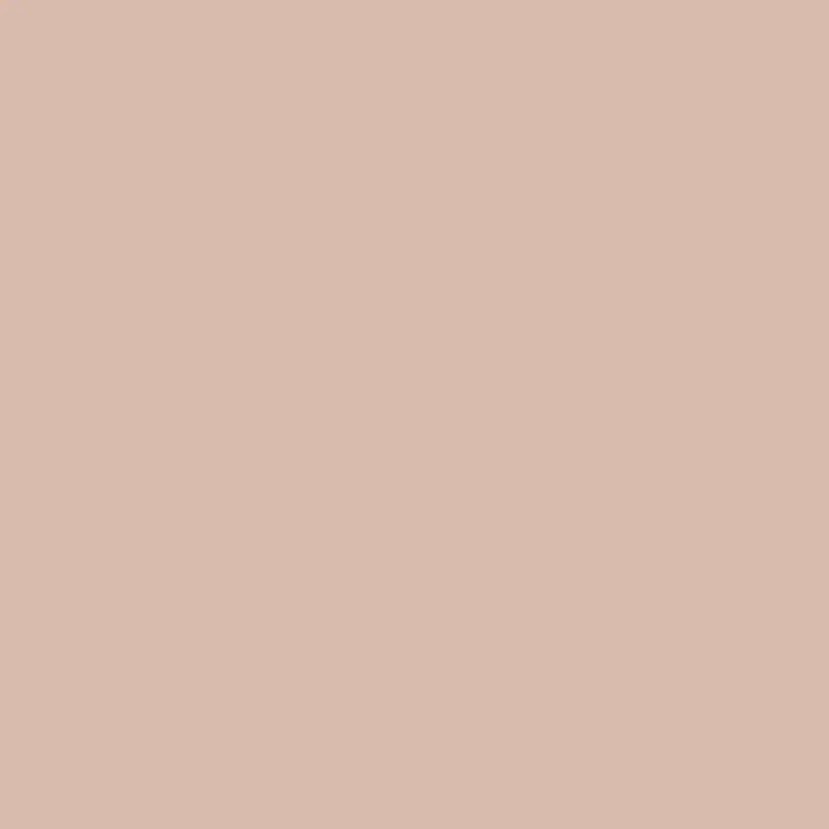 Ambiance peinte en Potted Shrimp de Farrow & Ball