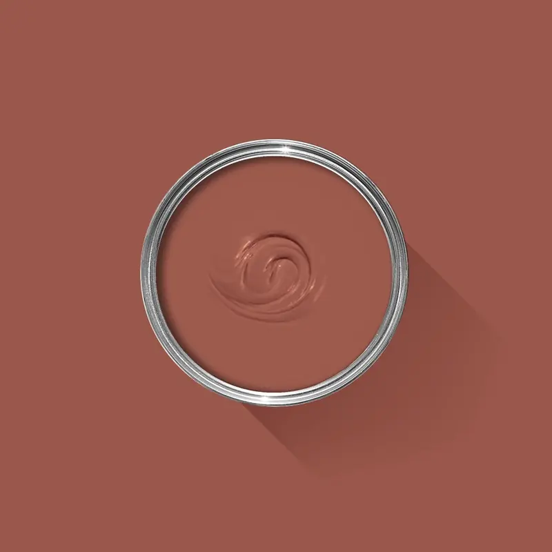 Ambiance peinte en Singed Red de Farrow & Ball