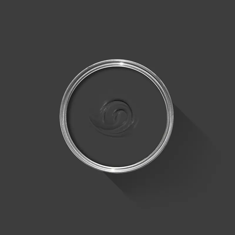 Ambiance peinte en Smelt Black de Farrow & Ball