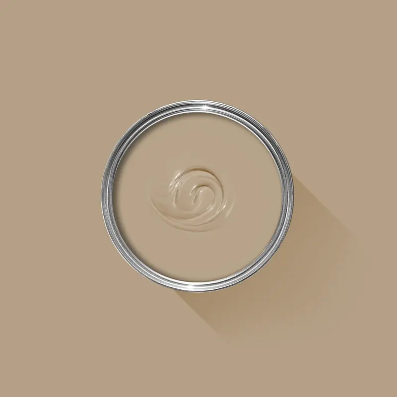 Ambiance peinte en Planter de Farrow & Ball